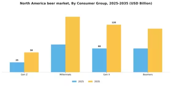 North America Beer Market Segment Image 1