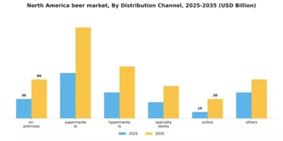 North America Beer Market Segment Image 2