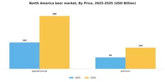 North America Beer Market Segment Image 4