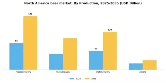 North America Beer Market Segment Image 5