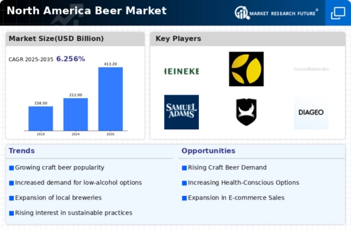 North America Beer Market Infographic