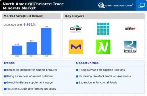 North America Chelated Trace Minerals Market Infographic