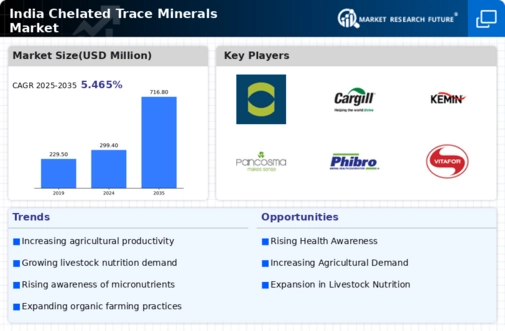 India Chelated Trace Minerals Market Infographic