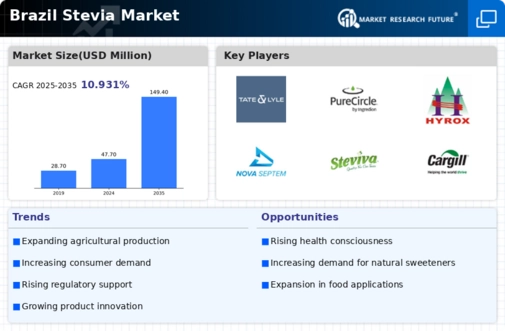 Brazil Stevia Market
 Infographic
