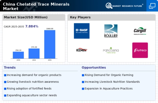China Chelated Trace Minerals Market Infographic