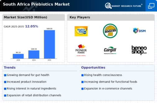 South Africa Prebiotics Market Infographic