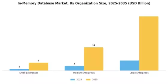 In Memory Database Market Segment Image 3