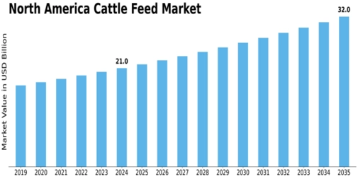 North America Cattle Feed Market Size