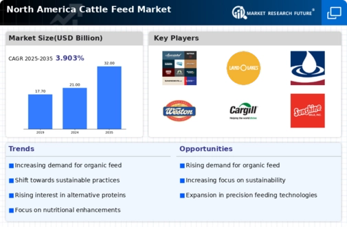 North America Cattle Feed Market Infographic