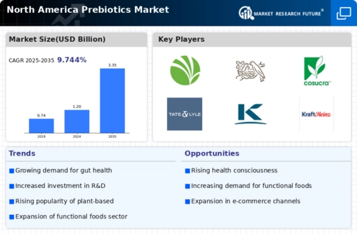 North America Prebiotics Market Infographic
