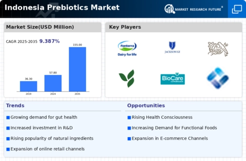 Indonesia Prebiotics Market Infographic