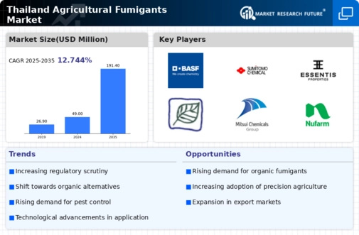 Thailand Agricultural Fumigants Market Infographic