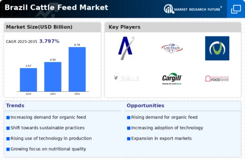 Brazil Cattle Feed Market Infographic