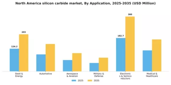 North America Silicon Carbide Market Segment Image 0