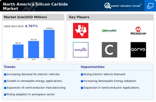 North America Silicon Carbide Market Infographic