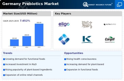 Germany Prebiotics Market Infographic
