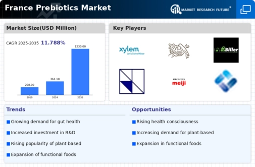 France Prebiotics Market Infographic