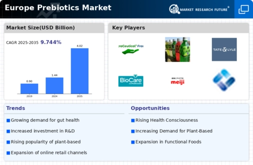 Europe Prebiotics Market Infographic