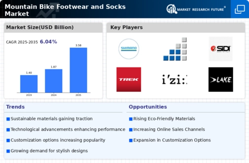 Mountain Bike Footwear Socks Market Infographic