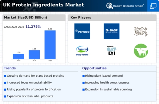 UK Protein Ingredients Market Infographic