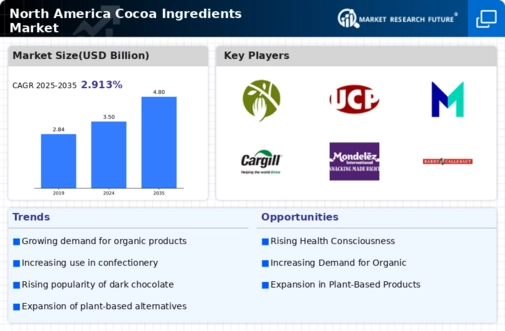 North America Cocoa Ingredients Market Infographic