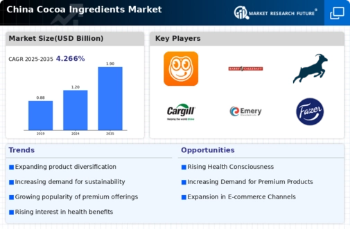 China Cocoa Ingredients Market Infographic
