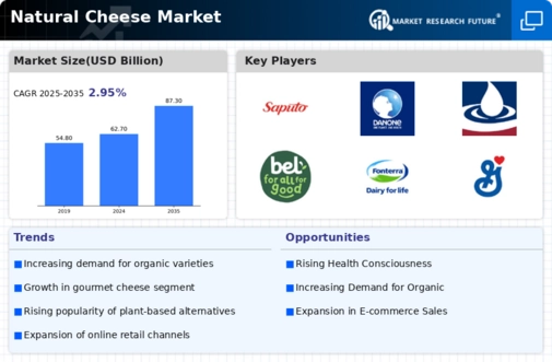 Natural Cheese Market Infographic