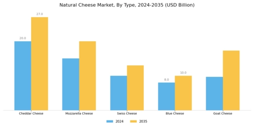 Natural Cheese Market Segment Image 0
