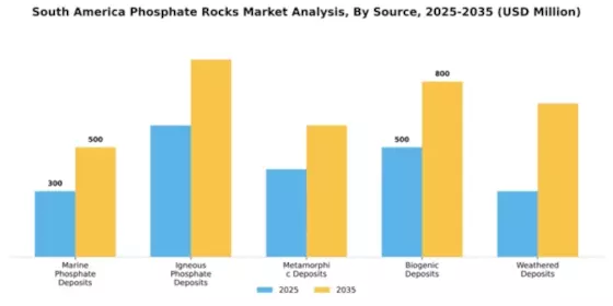 South America Phosphate Rocks Market Segment Image 1
