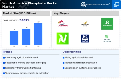 South America Phosphate Rocks Market Infographic
