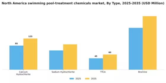 North America Swimming Pool Treatment Chemicals Market Segment Image 1