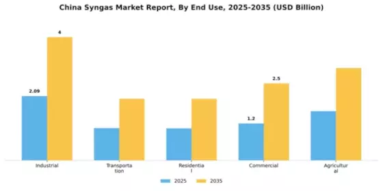 China Syngas Market Segment Image 1