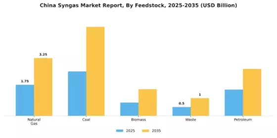 China Syngas Market Segment Image 2