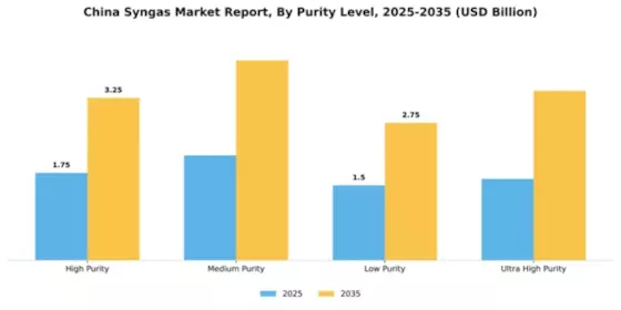 China Syngas Market Segment Image 3