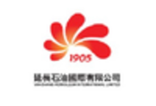 China Syngas Market key player