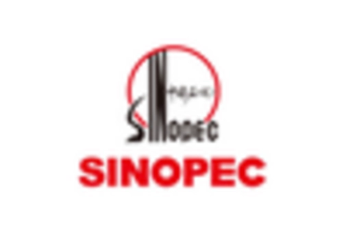 China Syngas Market key player