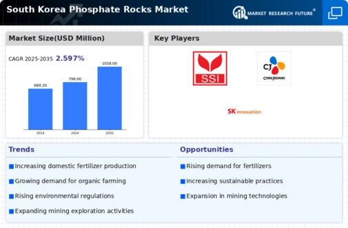 South Korea Phosphate Rocks Market Infographic