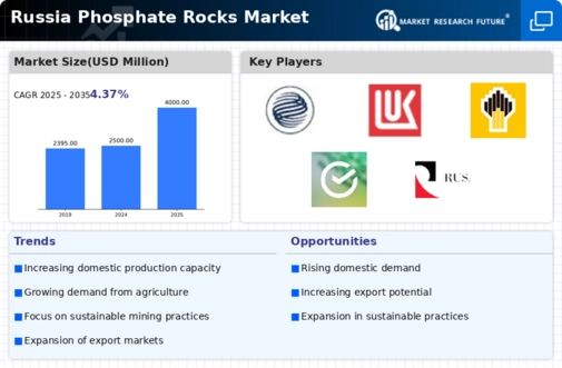 Russia Phosphate Rocks Market Infographic