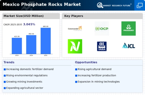 Mexico Phosphate Rocks Market Infographic