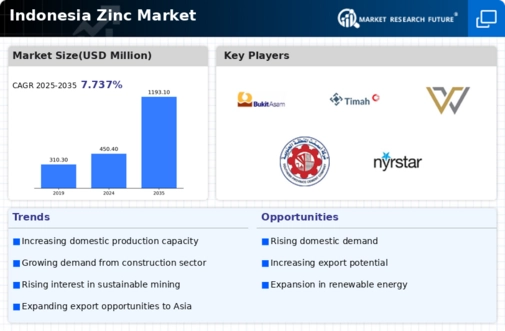 Indonesia Zinc Market Infographic