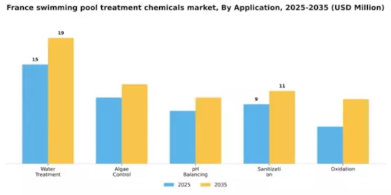 France Swimming Pool Treatment Chemicals Market Segment Image 0