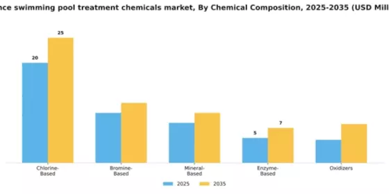 France Swimming Pool Treatment Chemicals Market Segment Image 1
