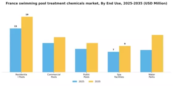 France Swimming Pool Treatment Chemicals Market Segment Image 3