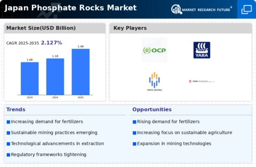 Japan Phosphate Rocks Market Infographic