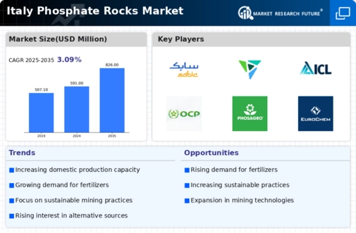 Italy Phosphate Rocks Market Infographic