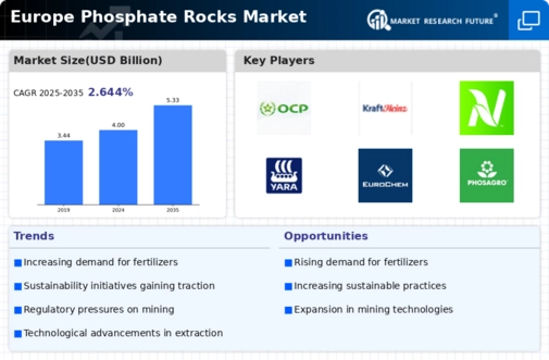 Europe Phosphate Rocks Market Infographic