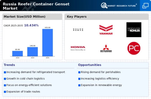 Russia Reefer Container Genset Market Infographic