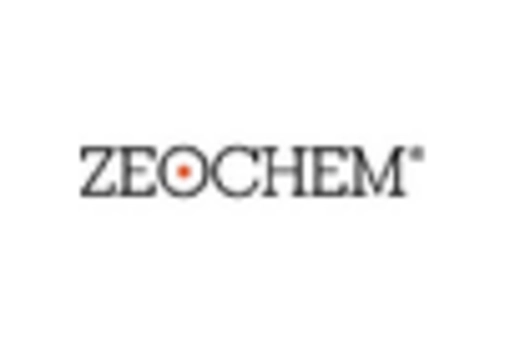 South America Zeolites Market key player