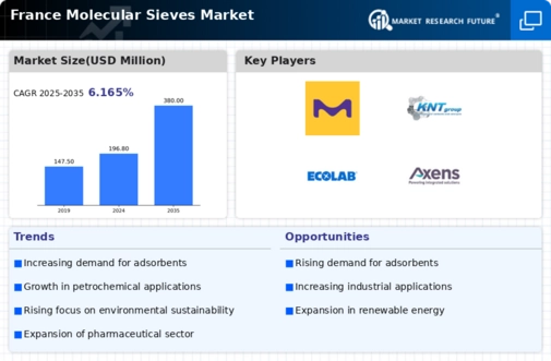 France Molecular Sieves Market Infographic