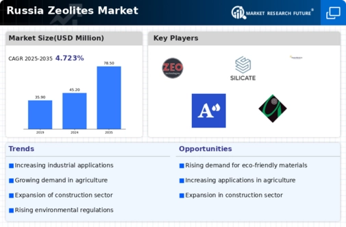 Russia Zeolites Market Infographic